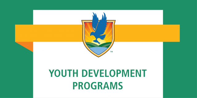 News graphic with LSSC logo and text reading Youth Development Programs